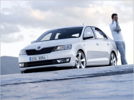  SKODA Rapid      25  2013 