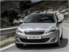 PEUGEOT 308      Fleet Word