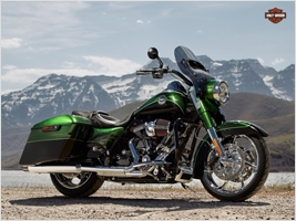  Harley-Davidson  66 000 