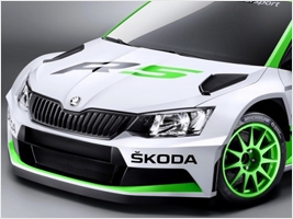      Skoda Motorsport