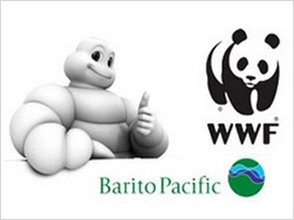       Barito Pacific Group    