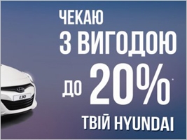 Hyundai    20%    