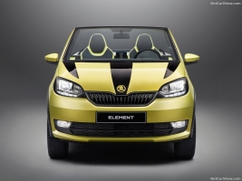 17-  18-   - Skoda Element