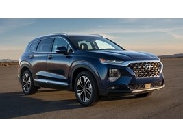 Hyundai Motor    Palisade