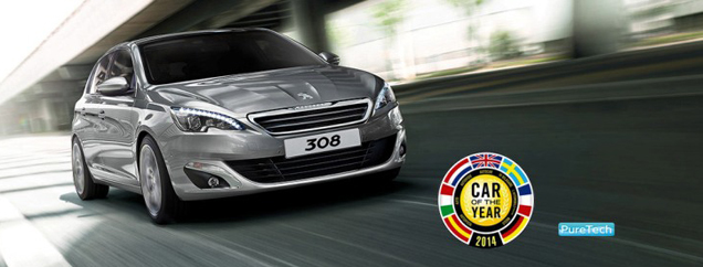 PEUGEOT 308      Fleet Word