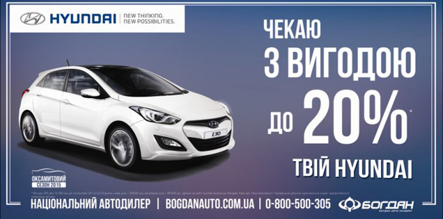 Hyundai    20%    