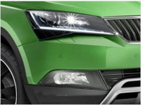    Skoda:  