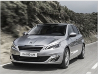  Peugeot 308     17,4 /.