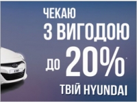 Hyundai    20%    