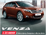  21  Toyota Venza       